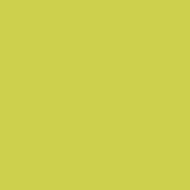 Пастель масляная мягкая Mungyo №242 оливково-желтый
