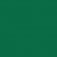 Пастель масляная мягкая Mangyo №229 изумрудный зеленый