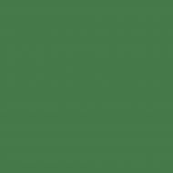 Пастель масляная мягкая Mungyo №232 болотный зеленый
