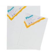 Холст на картоне Pinax 30x35