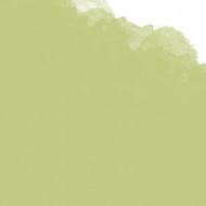Пастель масляная мягкая Mangyo №302 Зеленая Ива