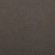 Бумага для пастели Clairefontaine Etival Color 50х65 160 гр 30%хлопка черный